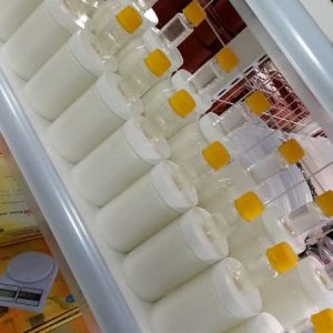 سیلیکون قالب‌گیری
