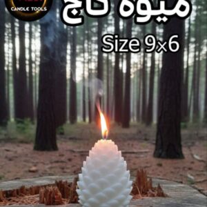 قالب میوه‌کاج