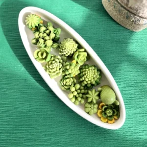 بیس شات قایقی