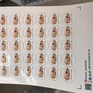 ترانسفر کد16